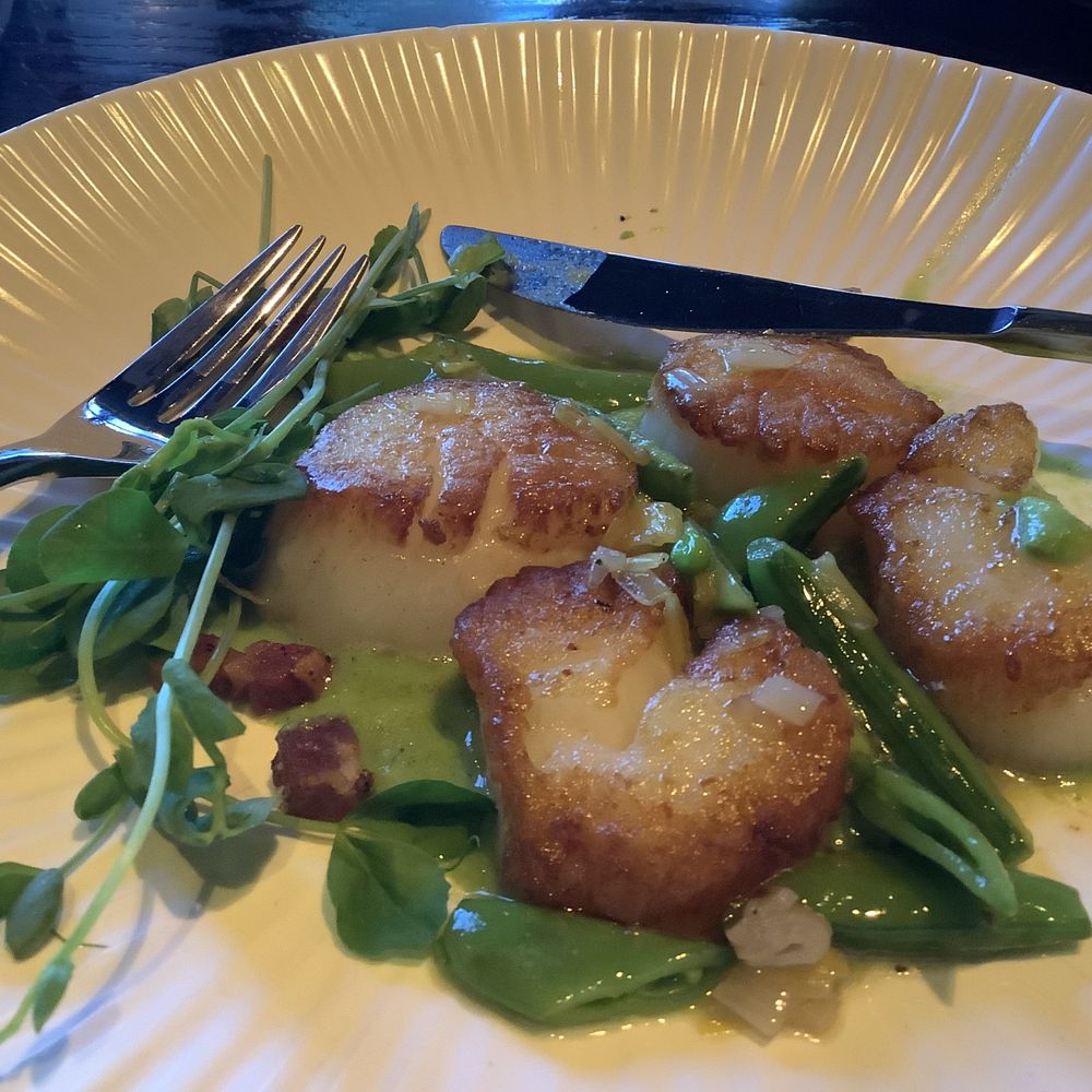 Scallops Scallops
