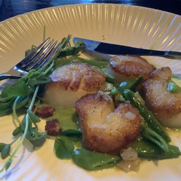 Scallops Scallops