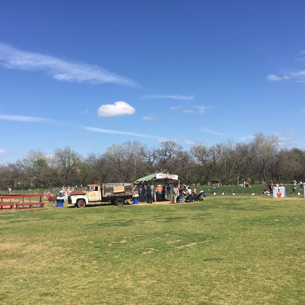 Sweet Berry Farm - Attraction Farms Near Me - Marble Falls, Texas