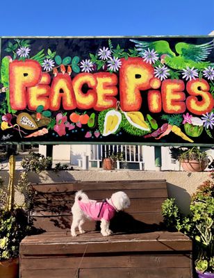 Peace Pies Raw Food Cafe - Ocean Beach by null