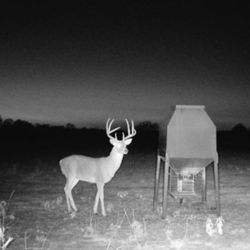 Jamie Nichols Outfitters