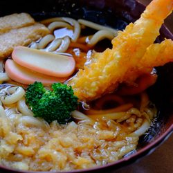 Udon