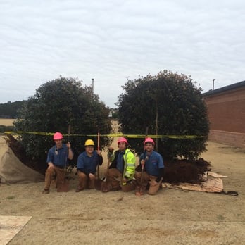 All Star Tree Service - Our tree removal & transplanting crew in Huntsville, AL - Tree Services Near Me - Huntsville, Alabama All Star Tree Service - Our tree removal & transplanting crew in Huntsville, AL - Tree Services Near Me - Huntsville, Alabama