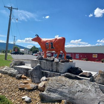 Cooter's Place - Luray - Museums Near Me - Luray, Virginia