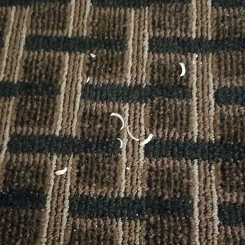 Edgewater Hotel and Waterpark - First look at the toe nails... - Hotels Near Me - Duluth, Minnesota Edgewater Hotel and Waterpark - First look at the toe nails... - Hotels Near Me - Duluth, Minnesota