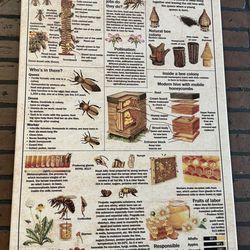 Mountain House Trading Company - Bee knowledge