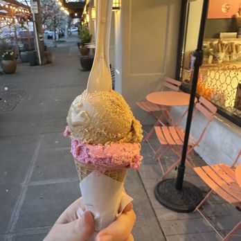 Nutty Squirrel Gelato - Magnolia - Espresso scoop and acai scoop - Gelato Near Me - Seattle, Washington