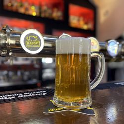 Restaurace Jáma - Our beers
