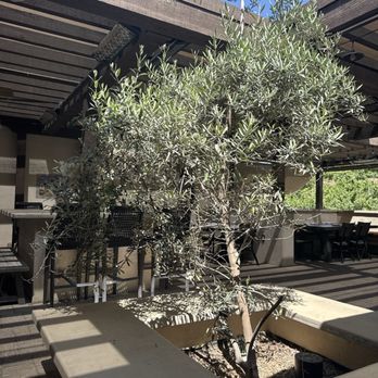 Bolero Restaurante - Patio dining - Tapas/Small Plates Near Me - Temecula, California