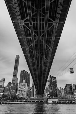 Roosevelt Island by null