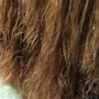 Photo of Bright Star Hair Design
