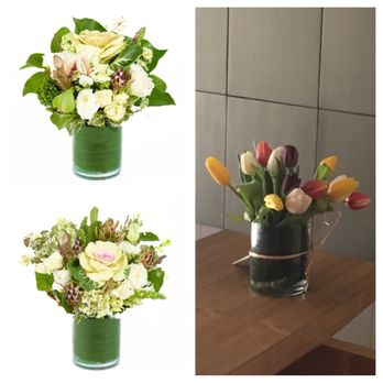 Flowers For Dreams - Sample arrangements of small and medium sizes (from their website), and what was sent (supposed to be medium). - Florists Near Me - Chicago, Illinois Flowers For Dreams - Sample arrangements of small and medium sizes (from their website), and what was sent (supposed to be medium). - Florists Near Me - Chicago, Illinois