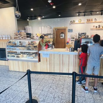 Everything Bagel - Bagels Near Me - Foxborough, Massachusetts