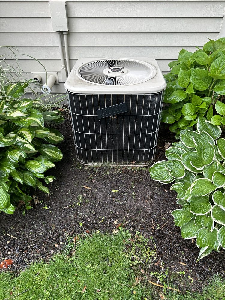 Slide of Alborz Corp