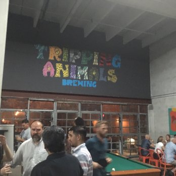 Tripping Animals Brewing - Art in warehouse playhouse - Breweries Near Me - Doral, Florida