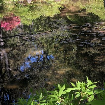 Asticou Azalea Garden - water - Botanical Gardens Near Me - Mount Desert, Maine Asticou Azalea Garden - water - Botanical Gardens Near Me - Mount Desert, Maine