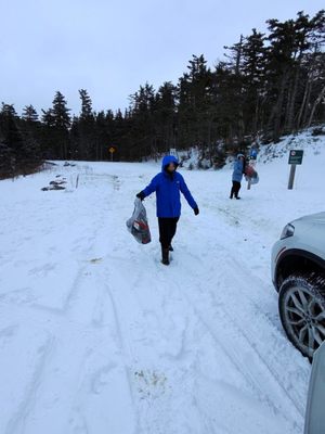 Skyline Trail by null