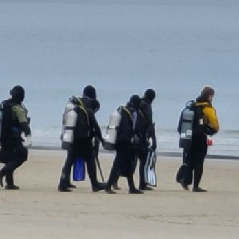 Beyond Land Adventures - Beach Day at La Jolla Shores - Snorkeling Near Me - San Diego, California