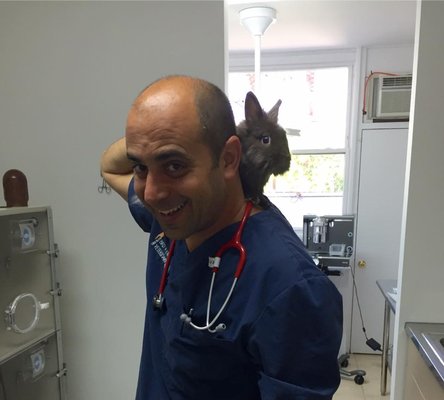 long island birds and exotics