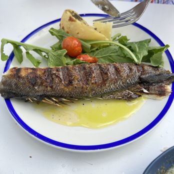 Mandolin Aegean Bistro - Grilled branzino - Mediterranean Near Me - Miami, Florida