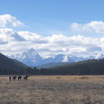 Triangle X Ranch - Pacific Creek Meadow - Rafting/Kayaking Near Me - Moose, Wyoming