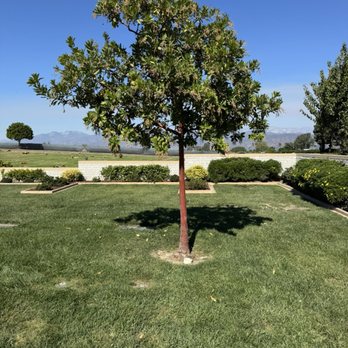 Forest Lawn - Covina Hills - Beautiful scenery - Mortuary Services Near Me - Covina, California Forest Lawn - Covina Hills - Beautiful scenery - Mortuary Services Near Me - Covina, California