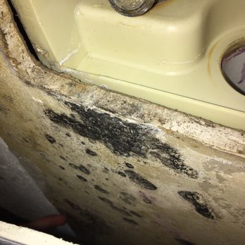 Olivewood Apartments - mold everywhere covered up. - Apartments Near Me - Sterling Heights, Michigan