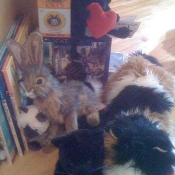 Treehouse Toys - Toy Stores Near Me - Portland, Maine