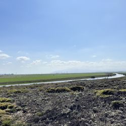 Monterey Bay Equestrian Center - Trail ride