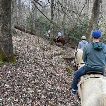 Blue Ridge Mountain Trail Rides - Riding uphill - Horseback Riding Near Me - Blue Ridge, Georgia Blue Ridge Mountain Trail Rides - Riding uphill - Horseback Riding Near Me - Blue Ridge, Georgia