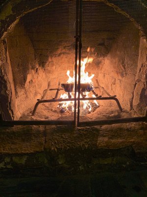 Hualapai Mountain Park Campground by null