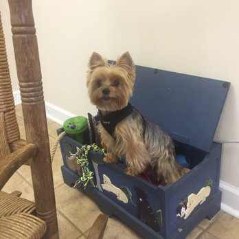 Natural Pet Care - Veterinarians Near Me - Metairie, Louisiana Natural Pet Care - Veterinarians Near Me - Metairie, Louisiana