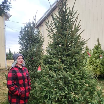 Mr Tree Farm - Fabulous Trees - Christmas Trees Near Me - Blacklick, Ohio
