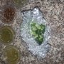 Photo of Taqueria Vallarta