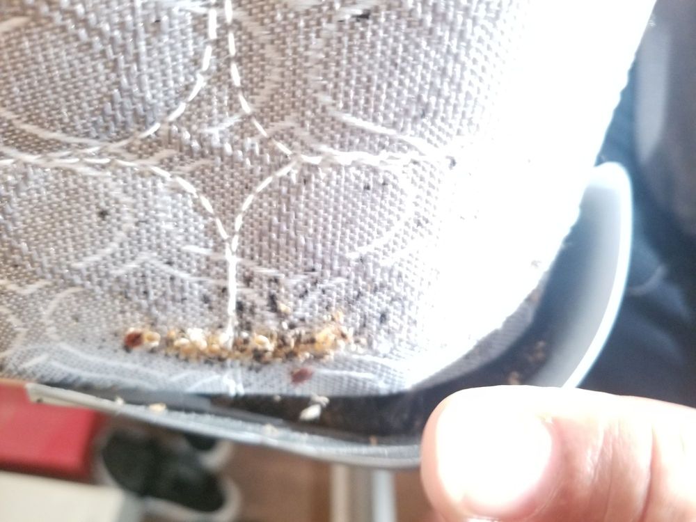 NATIONAL FURNITURE LIQUIDATORS OUTLET STORE Updated October 2024 31