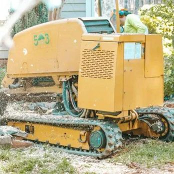 503 Tree Service - Tree Services Near Me - Clayton, North Carolina 503 Tree Service - Tree Services Near Me - Clayton, North Carolina