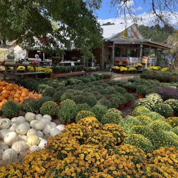 This is like a fall festival every day except Sunday and Monday.Even boiled peasants sometimes and homemade ice cream This is like a fall festival every day except Sunday and Monday.Even boiled peasants sometimes and homemade ice cream