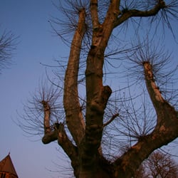 Kloster Schiffenberg