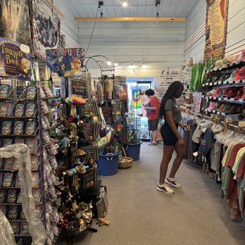 PENGUINS OTTERS & OTHERS - Updated February 2026 - 20 Photos - 27