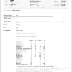 Fenton River Veterinary Hospital - Lab result - 2 post-surgical nasty bacterias, commonly bred in hospitals.