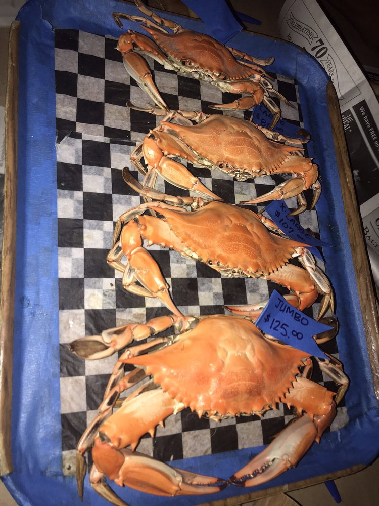 CAPTAIN JAMES CRAB HOUSE 456 Photos & 355 Reviews Seafood 2121