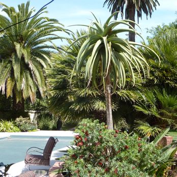 Billy Goodnick - Ah, the good life in Santa Barbara. - Landscape Architects or Designers Near Me