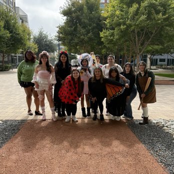 Elevated Coffee & Tea - Group photo-outdoor space - Coffee & Tea Near Me - Richardson, Texas