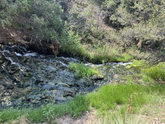 Orient Land Trust/Valley View Hot Springs by null