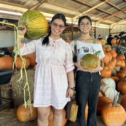 Marana Pumpkin Patch & Farm Festival - Weighing area