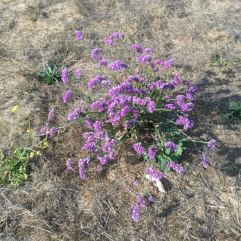 HarborView Park - Parks Near Me - San Mateo, California