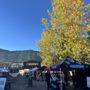 Photo of Jackson Hole Farmers Market on the Town Square