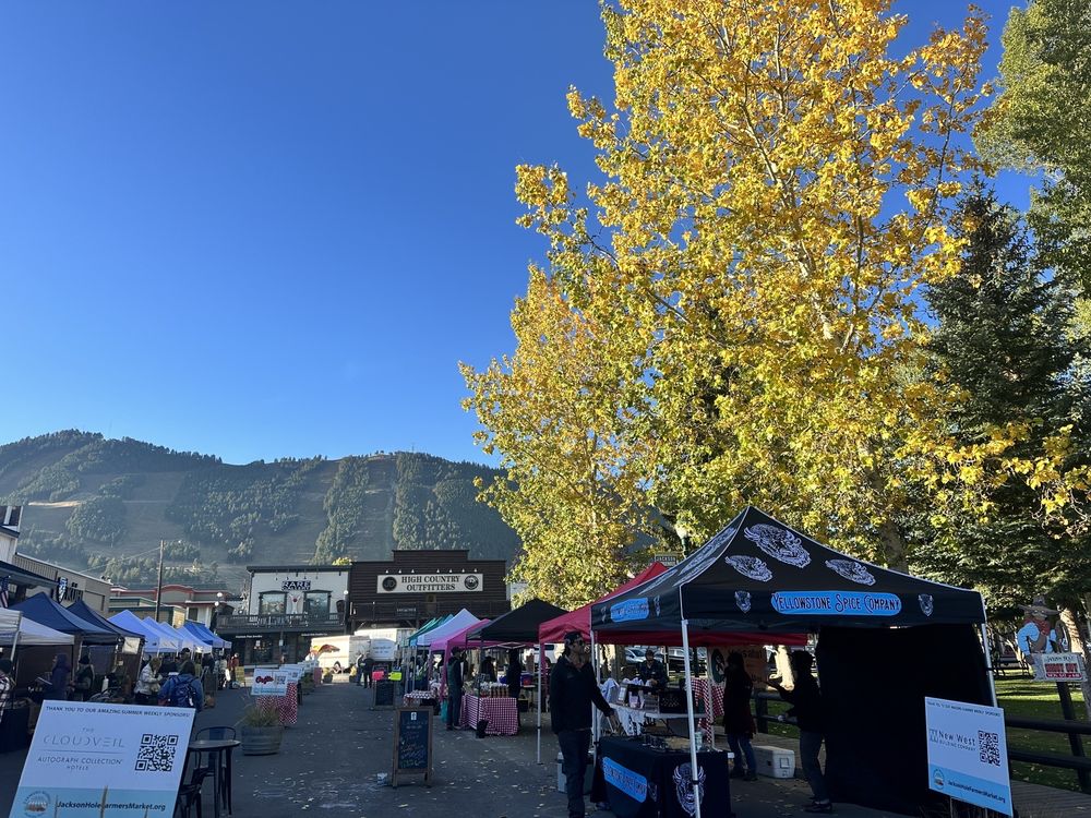 Jackson Hole Farmers Market on the Town Square
