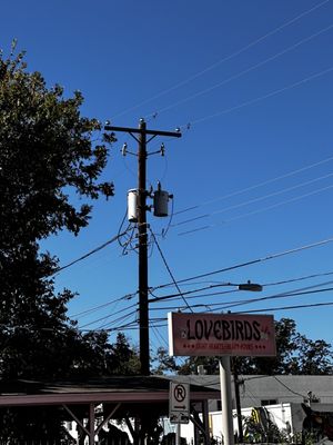 Lovers of Today by null