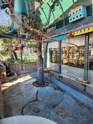 Live Oak Cafe by null